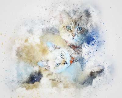 猫 宠物 拥抱 艺术 抽象 水彩 优质的 动物 丰富多彩的