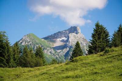 景观 自然 草地 山地草甸 树木 高山草甸 山 山峰 夏天