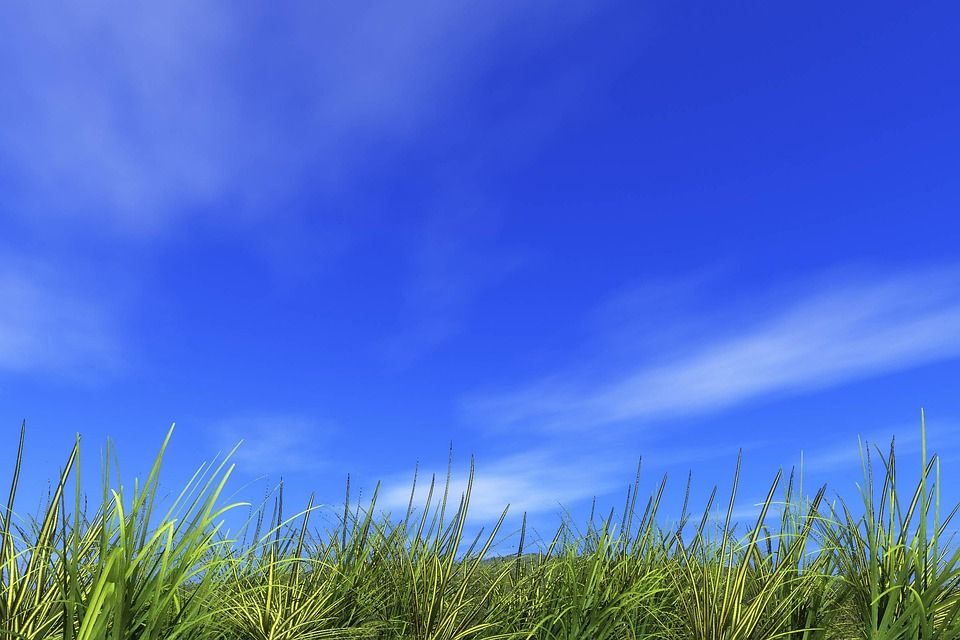 提神醒脑, 小山, 场地, 夏季, 地球, 太阳, 天气晴朗, 凉爽的, 清除