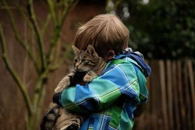 友谊 孩子 猫 宿醉 一起 偎 关系 信托 游戏 拥抱 户外