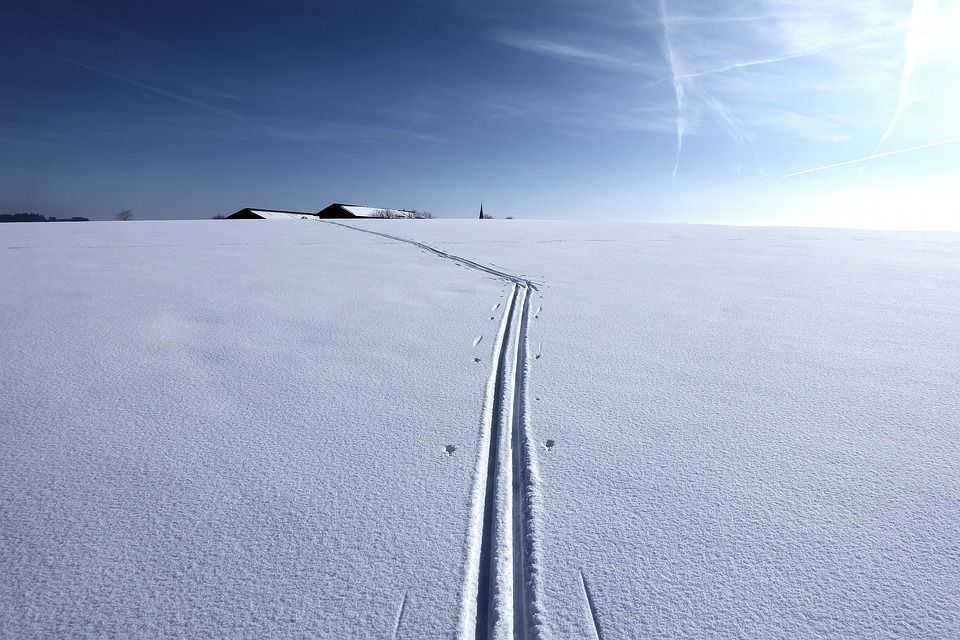 冬天, 雪, 越野滑雪道上, 寒冷的, 景观, 自然, 冬季景观, 太阳