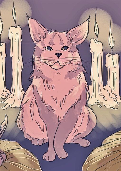 猫 万圣节 魔法 夜晚 气氛 大气 南瓜 宠物 蜡烛 画画