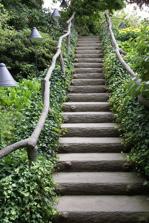 楼梯 脚步 结构 爬 布图 花园 植物园 布查特花园 栏杆