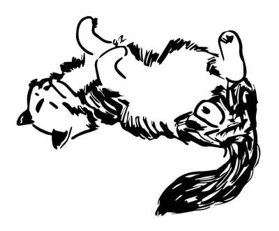 猫 动物 墨水 孤立 放松 内容 可爱 东方 松弛 度假