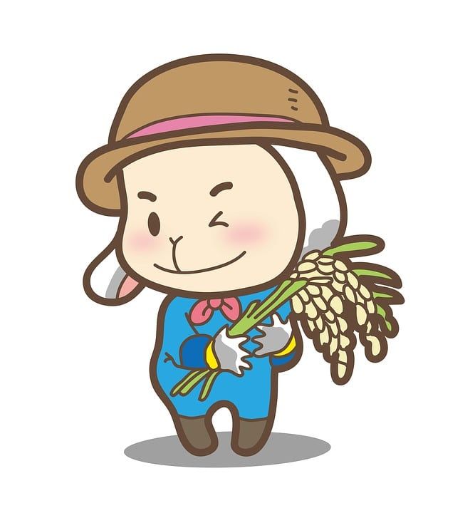 樂樂果 大米 農夫 帽子 稻米 稻米的帽子 竹子的帽子 微笑