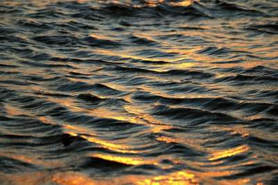 波浪 日落 太阳 反射 海 地中海 黄昏 海滩 自然