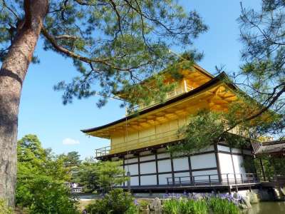 日本 京都府 金阁 神社 历史景点 室町时代 池塘 花园 景点