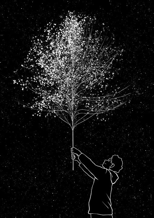 创造力 思维 绘画 黑和白 星星 夜晚 女孩们 树木 黑树