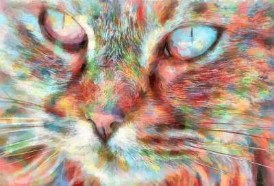 小猫 猫 眼睛 保留的眼睛 猫科动物 水彩