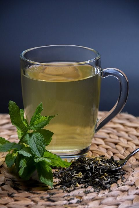 茶 薄荷 草药 杯子 芳香 工厂 树叶 干叶子 茶叶 黄
