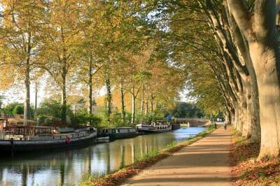Canaldumidi 图卢兹 树木 秋天 Hautegaronne