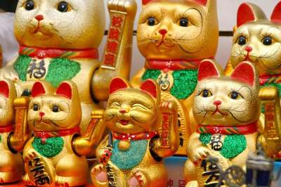 挥挥手 猫 装饰 幸运符 日本人 挥手的猫 数字 亚洲人 中国人