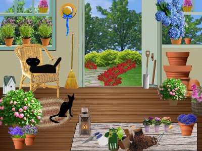 花园棚 园艺 罐子 花盆 在花盆里的花 黑猫 Windows 花园