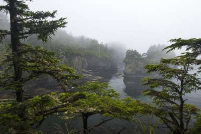 森林 云雾 美景 风景 树林 美景 美景 美景 美景 美景