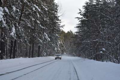 冬季 雪 森林 路 松 西伯利亚 弗罗斯特 冷 自然 景观