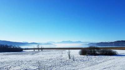 景观 冬天 阿尔卑斯山 吹风机 雪 多雾路段 湖 Simssee
