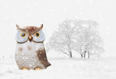 猫头鹰 冬天 雪 鸟 乐趣 寒冷的 数字 装饰 圣诞节 可爱的