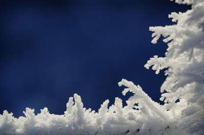 冰晶 霜 雪晶 冰淇淋 冬天 寒冷的 水晶 冻结 雪 白色的
