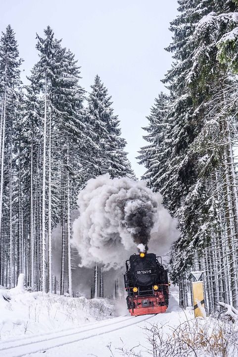 膳Schmalspuhrbahn 冬季景观 开足马力 雪 冬天 寒冷的