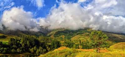 自然 看法 Kaçkars 景观自然 草 山 绿色 和平 牧场