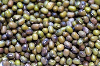 蒙哥 豆 格金 豆类 素食主义者 生物 健康 干燥 现代的