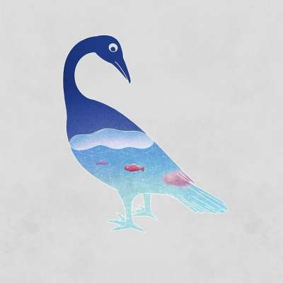 鸭 海洋 鱼 鸟 水 海 灵魂 轮廓 创造力 想象力 幻想