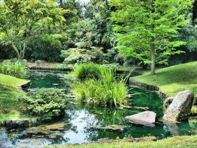 水路 花园 池塘 运河 户外的 反射 宁静 美化环境 场景