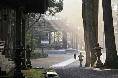 太阳光线 森林 高野山寺 多雾路段 太阳光束 树木 日本 寺庙