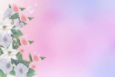花 开花 散景 装饰性的 邀请 肥皂泡 花的 祝贺 问候卡