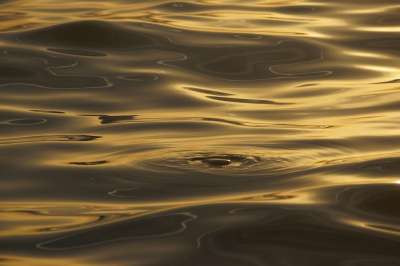 波浪 海 晚上光线 日落 海洋 水 涟漪