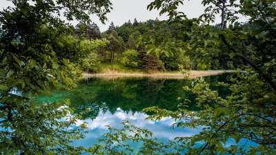 水 湖 河 树 自然 森林 绿色 景观 树木 反射 公园