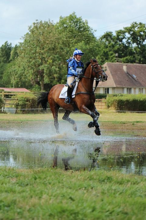 Haras Du销 国家柱 螺柱 伟大的全 跳跃 叉 马 竞赛