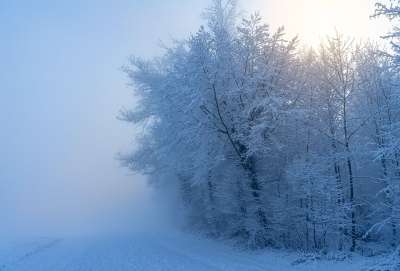 冬天 景观 雪 冬季景观 自然 寒冷的 太阳 冬季魔法 霜