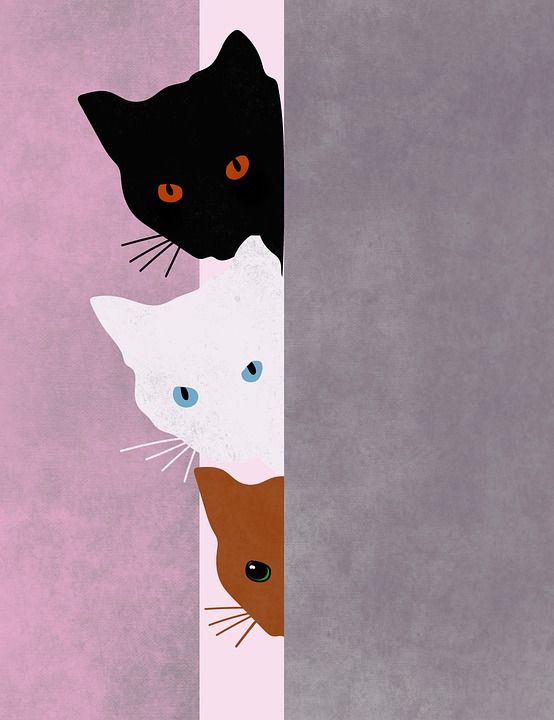 猫 宠物 背景 眼睛 俏皮的 画画 设计 颜色 淘气 动物