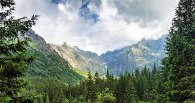 山 莫斯基奥科 自然 景观 塔特拉 天空 绿色 风景 旅游
