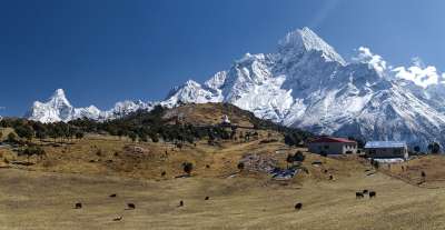 尼泊尔 喜马拉雅山 全景 山 景观 雪 寒冷的 岩石 力量