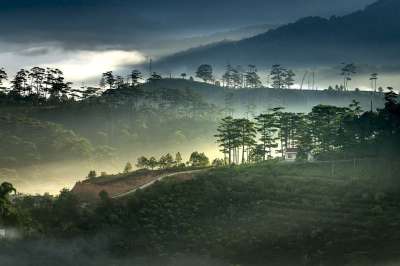 云 黎明 越南 幻想 设计 自然 光 新鲜感 旅行 景观