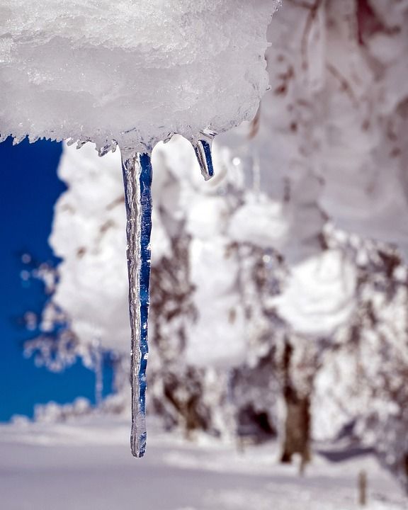 冰柱 冰淇淋 滴 冻结 冰冷的 寒冷的 冬天 雪 树 霜