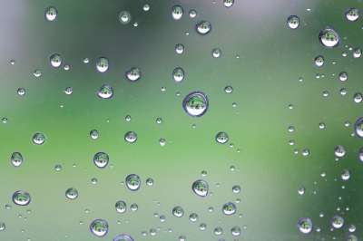 雨 雨滴 窗户 滴 湿的 水珠 绿色 可能 缩影 宏 水珠
