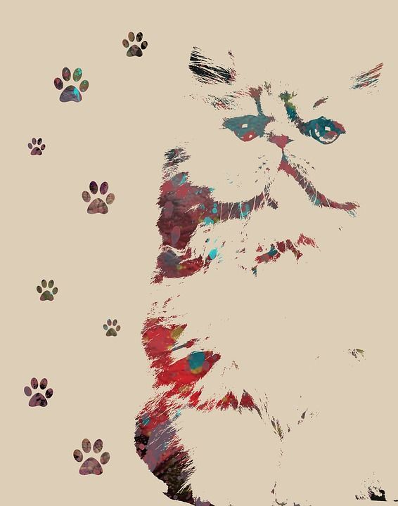 动物艺术 猫打印 猫科动物 爪印 棕色的艺术