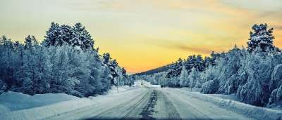 冬天 路 雪 日出 看法 树木 冰冷的 寒冷的 天气 蓝道