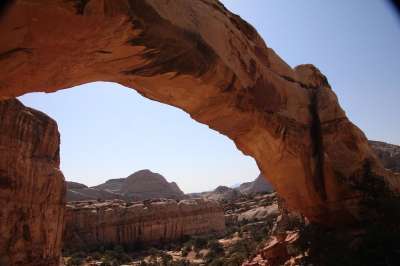 犹他州 拱 风景 自然 旅游景点 美国 风景秀丽的 拱门
