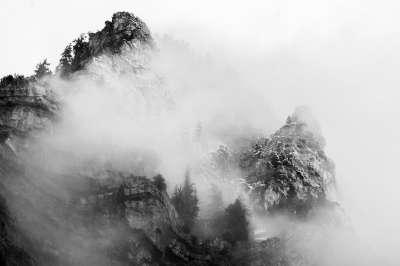 山 多雾路段 普罗沃 犹他州 黑和白 树木 喜怒无常 灰色的树