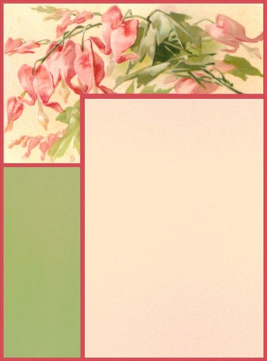 剪贴簿 纸 页 框架 静止的 花 流血的心 花束 花园 叶子