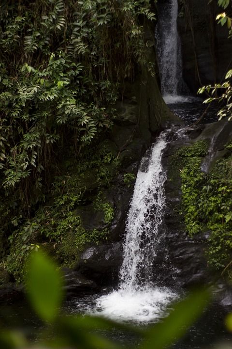 瀑布 自然 荒野 户外 树木 水