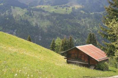 小木屋 舱 小屋 阿尔卑斯山 高山 瑞士 房子 山坡 山 风景