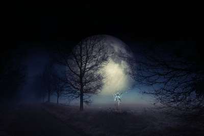 天使 月亮 夜晚 天堂 幻想 情感 圣诞节 气氛 林荫大道
