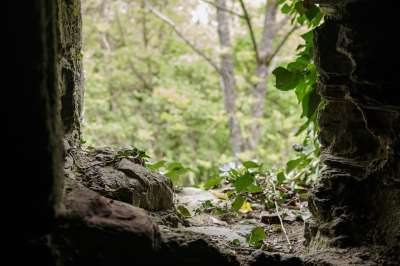 苔藓 石头 废墟 城堡