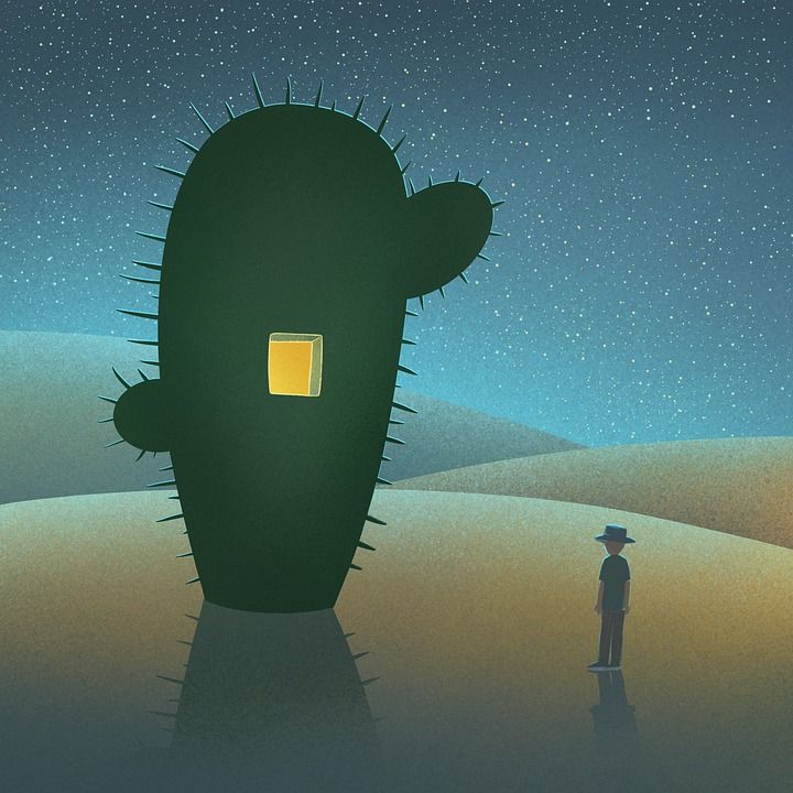 沙漠, 男人, 仙人掌, 房子, 游客, 流浪, 夜晚, 沙丘, 撒哈拉