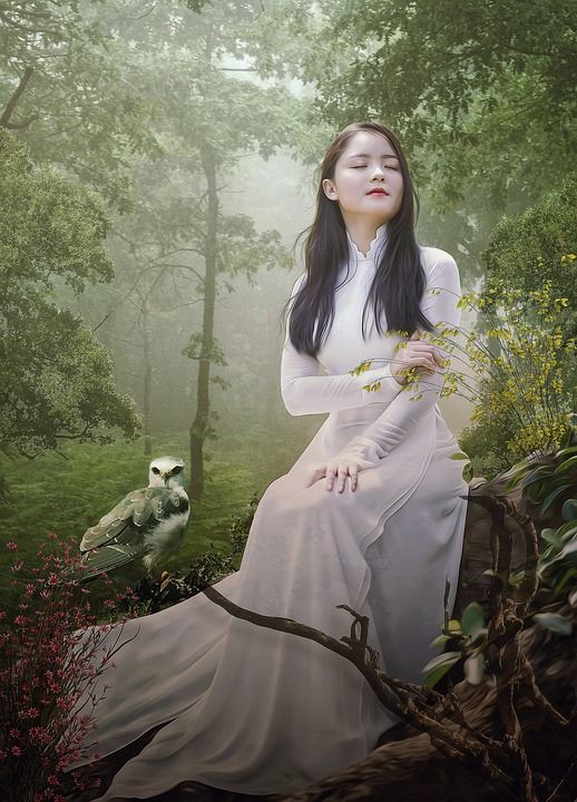 女士 年轻 猫头鹰 森林 树木 长发 黑发 白色的裙子 光
